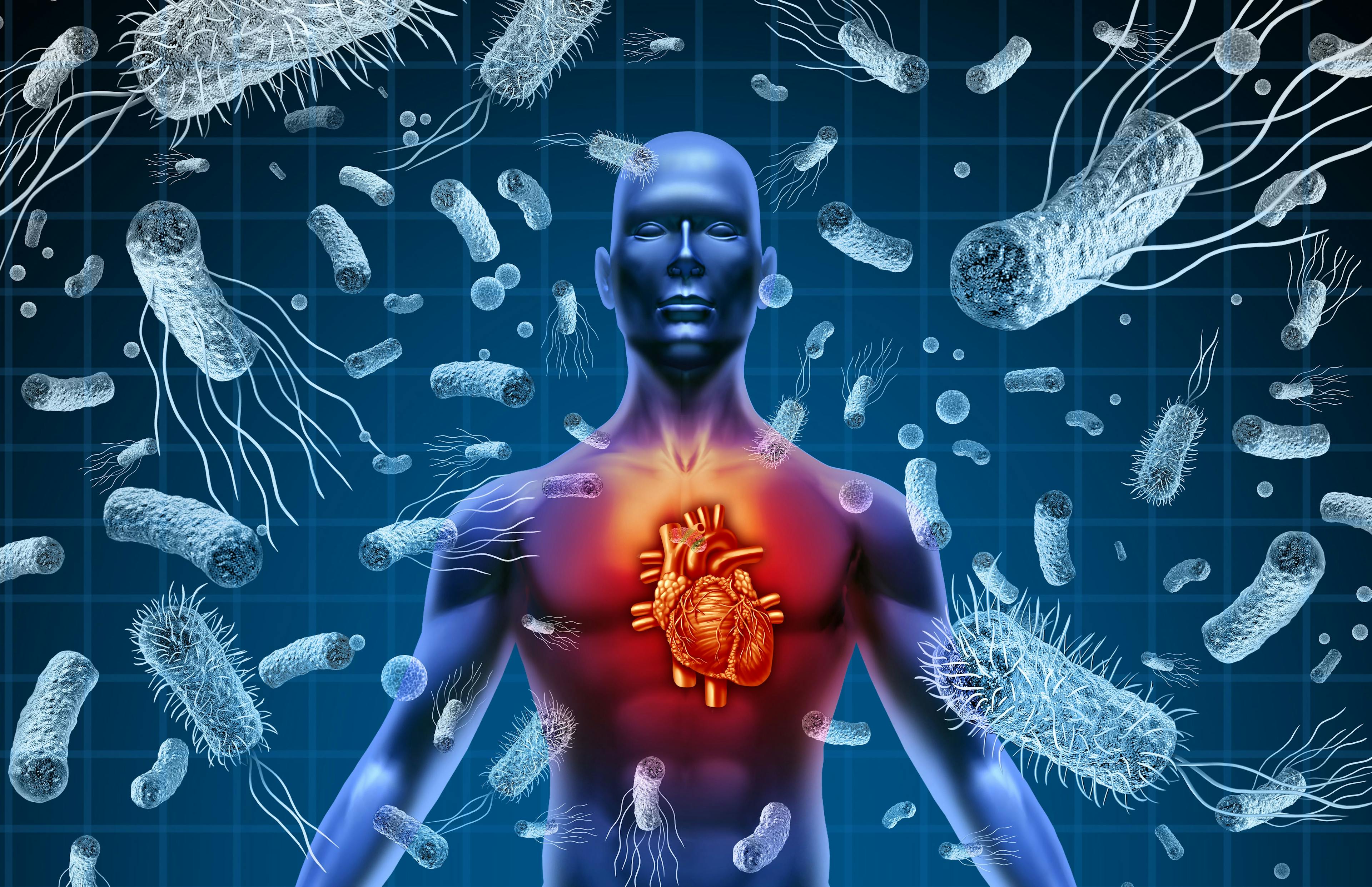 Heart And Bacteria or Bacterial Endocarditis and septicemia or sepsis as blood poisoning due to germs with 3D illustration elements. Image Credit: Adobe Stock Images/freshidea