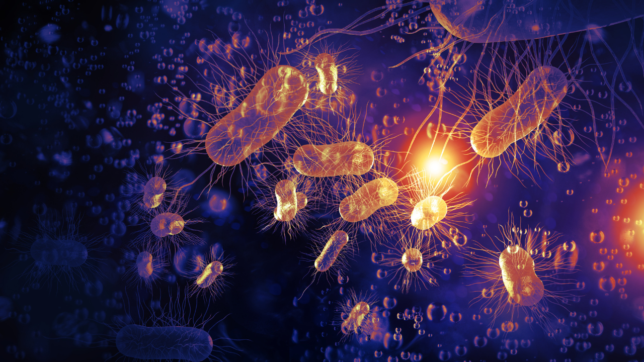 E.Coli Bacteria Cells 3D Illustration. Image Credit: Adobe Stock Images/Ezume Images
