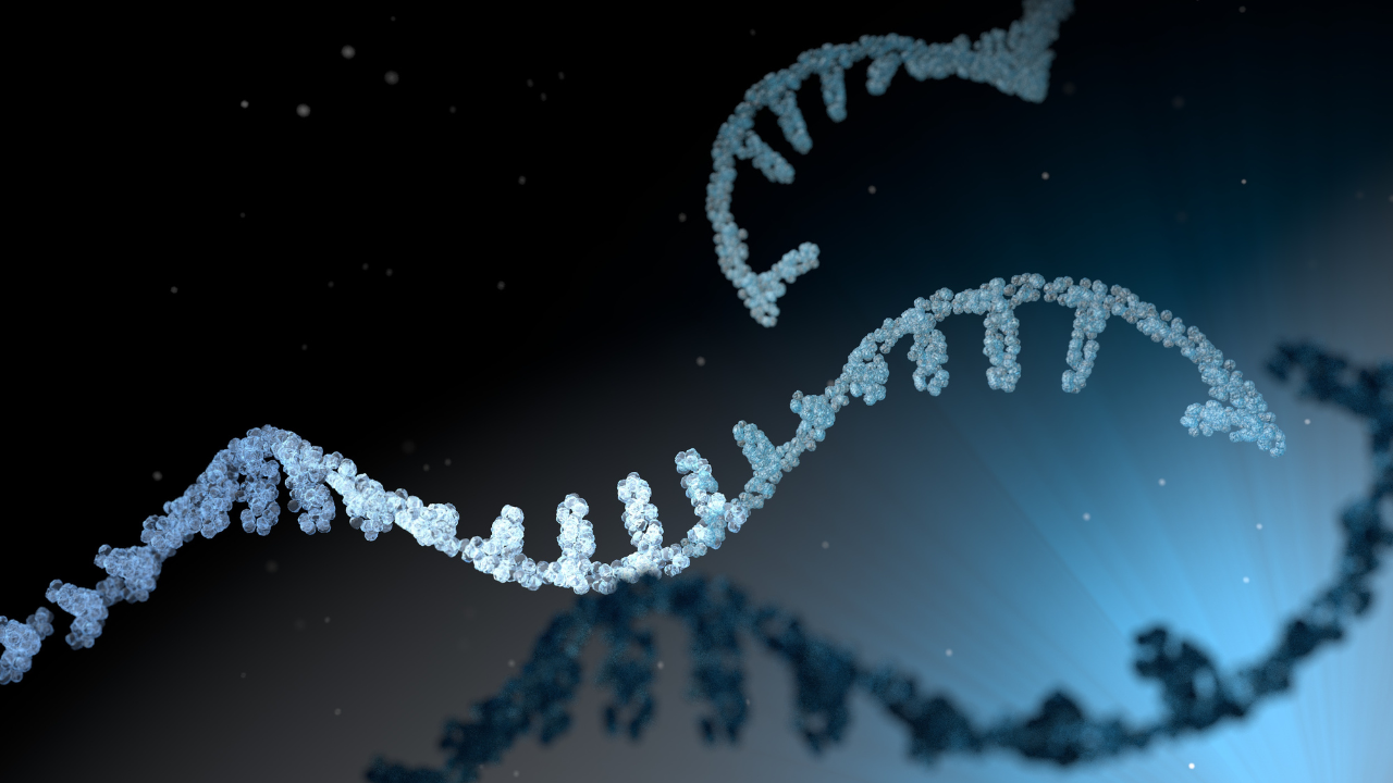 mRNA 5'Cap Structure. Image Credit: Adobe Stock Images/scienceDISPLAY