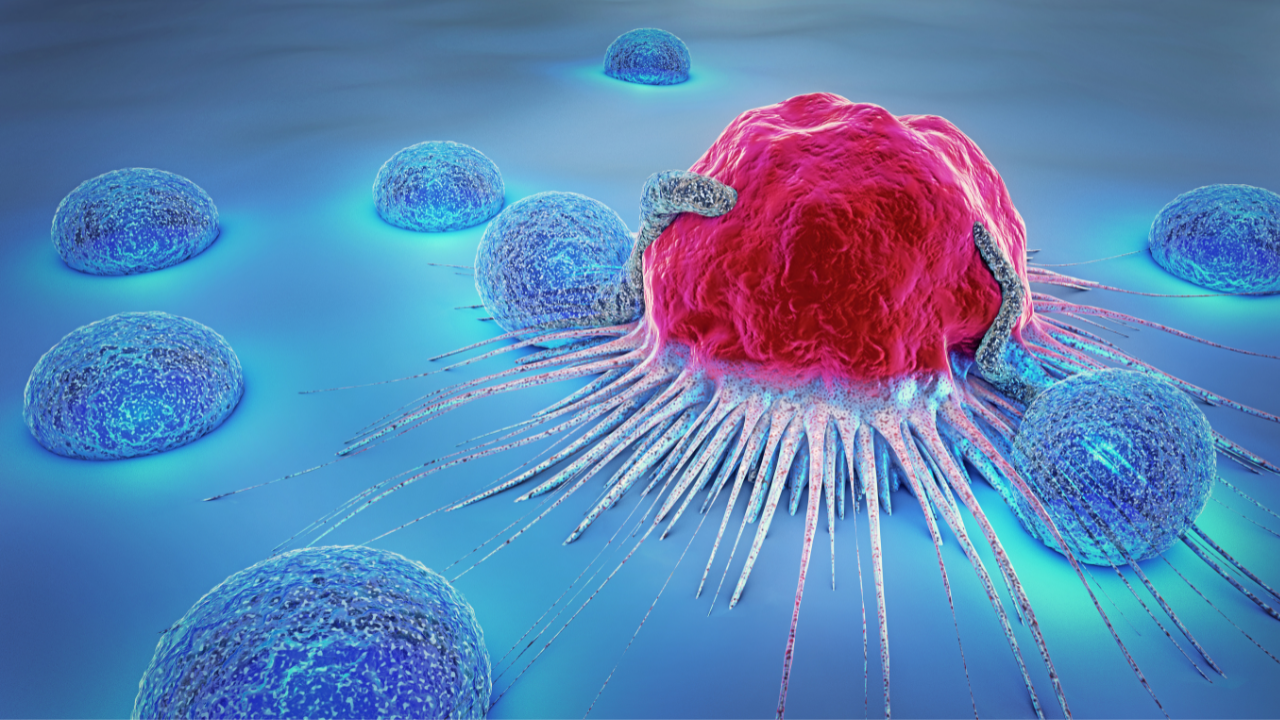 3d illustration of a cancer cell and lymphocytes. Image Credit: Adobe Stock Images/Christopher Burgstedt