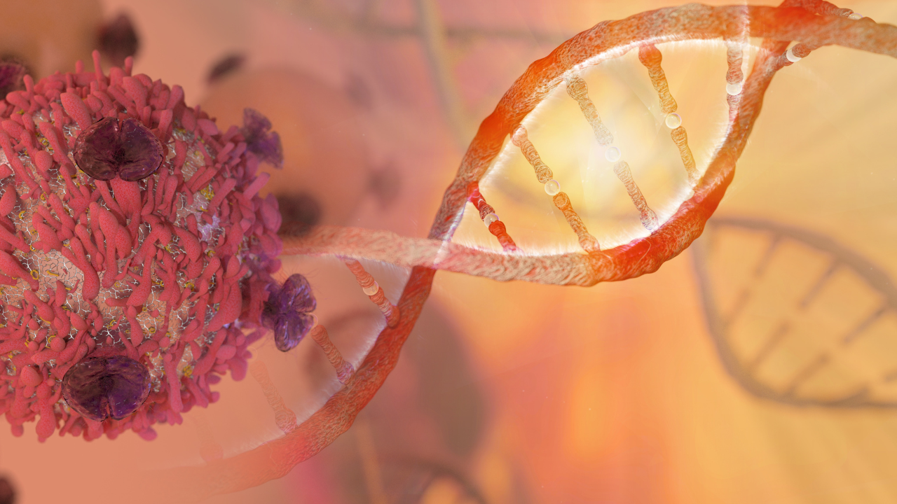 DNA strand and Cancer Cell Oncology Research Concept 3D rendering. Image Credit: Adobe Stock Images/catalin