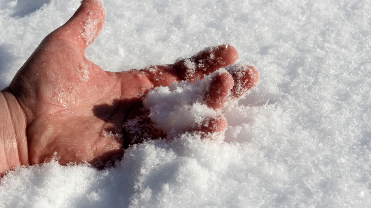 Frozen man's hand in snow on a frosty day. Image Credit: Adobe Stock Images/Nikolay