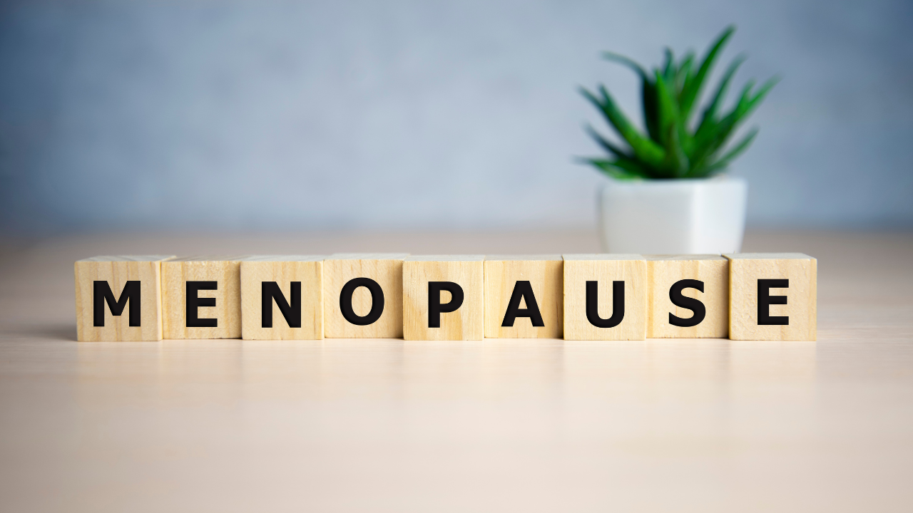 menopause word written on wood block. menopause text on table, concept. Image Credit: Adobe Stock Images/loran4a