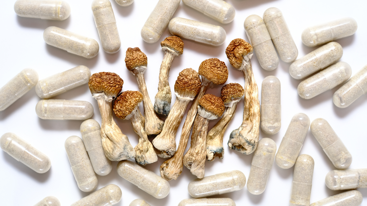 Micro dosing concept. Dry psilocybin mushrooms and natural herbal pills on white background. Psychedelic magic mushroom as medical supplement. Image Credit: Adobe Stock Images/Cannabis_Pic 