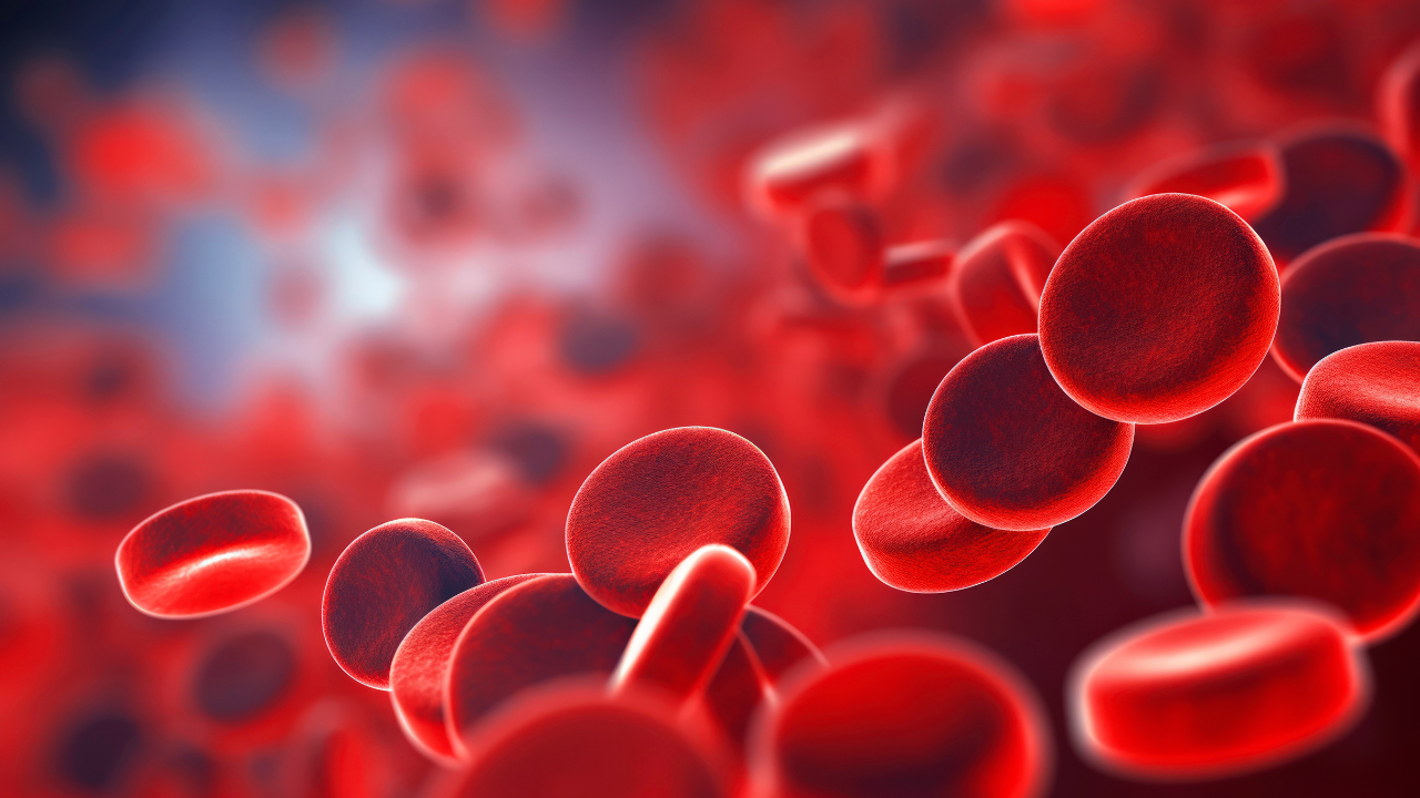 red cells flowing through vein. Image Credit: Adobe Stock Images/Isidro