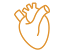 Cardiovascular - Branded