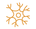 Central Nervous System - Branded 
