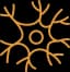 CNS - Disease Awareness/Education (Unregulated) Avatar