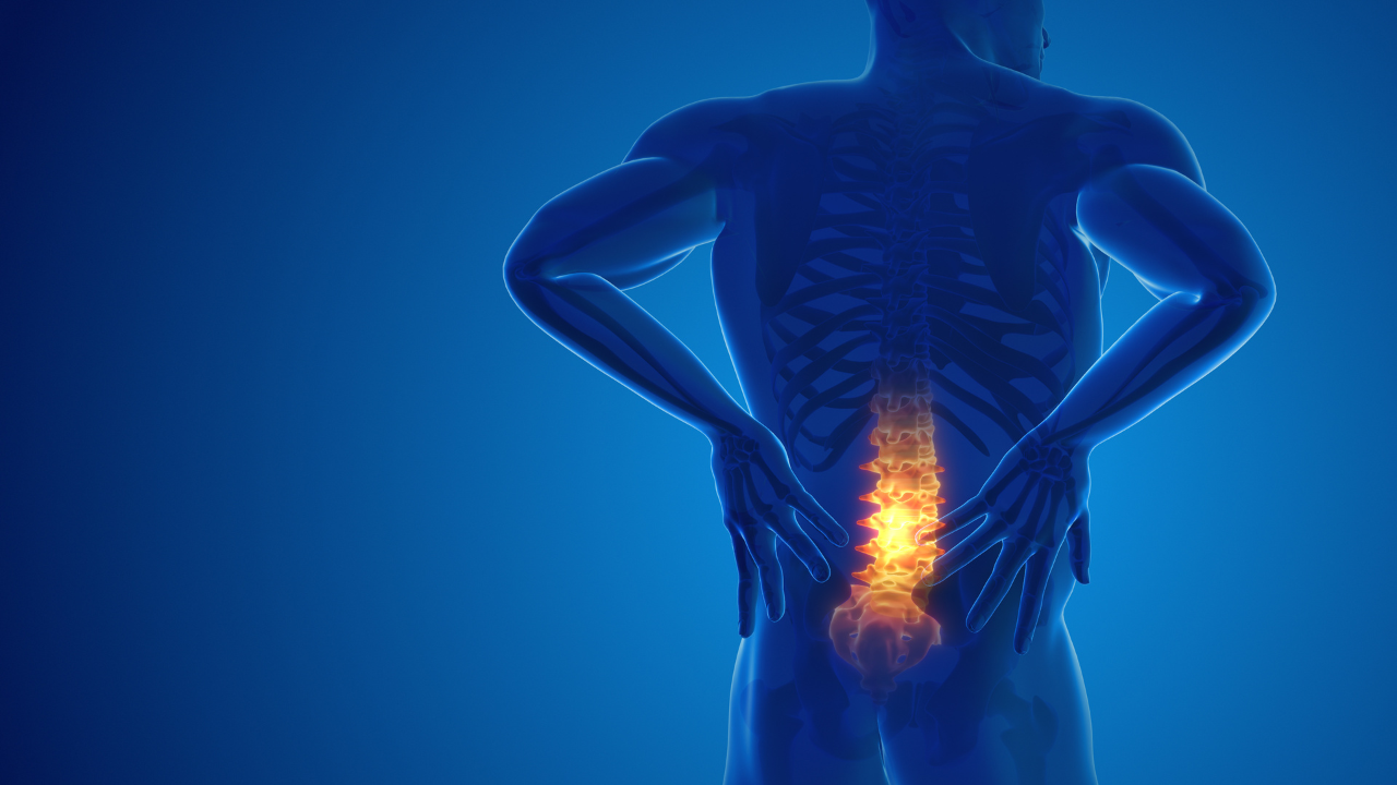 Pain in the back joint. Image Credit: Adobe Stock Images/Cinefootage Visuals