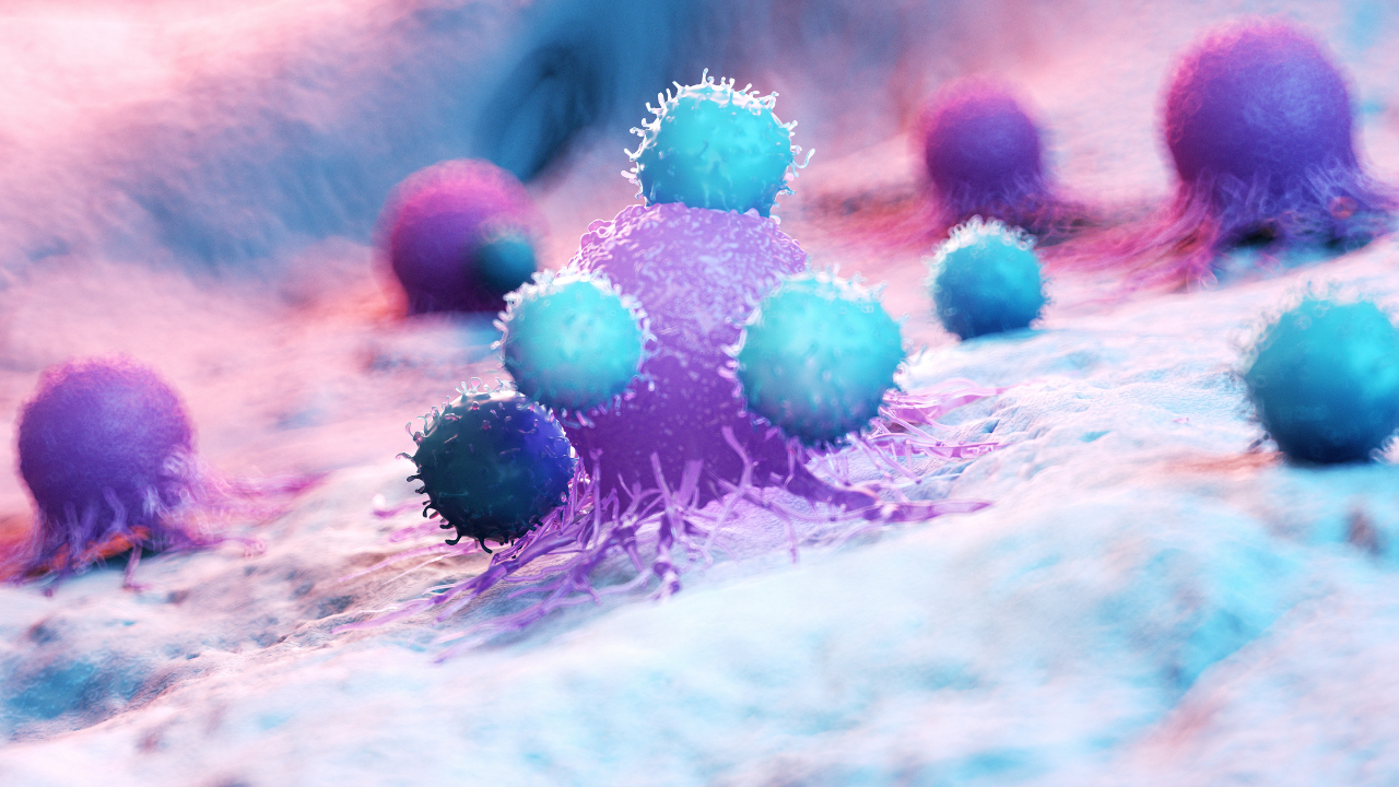3d rendered medically accurate illustration of leukocytes attacking a cancer cell. Image Credit: Adobe Stock Images/SciePro
