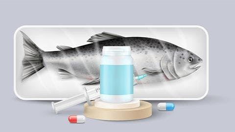 Elanco Sells Aqua Brand to Merck Animal Health