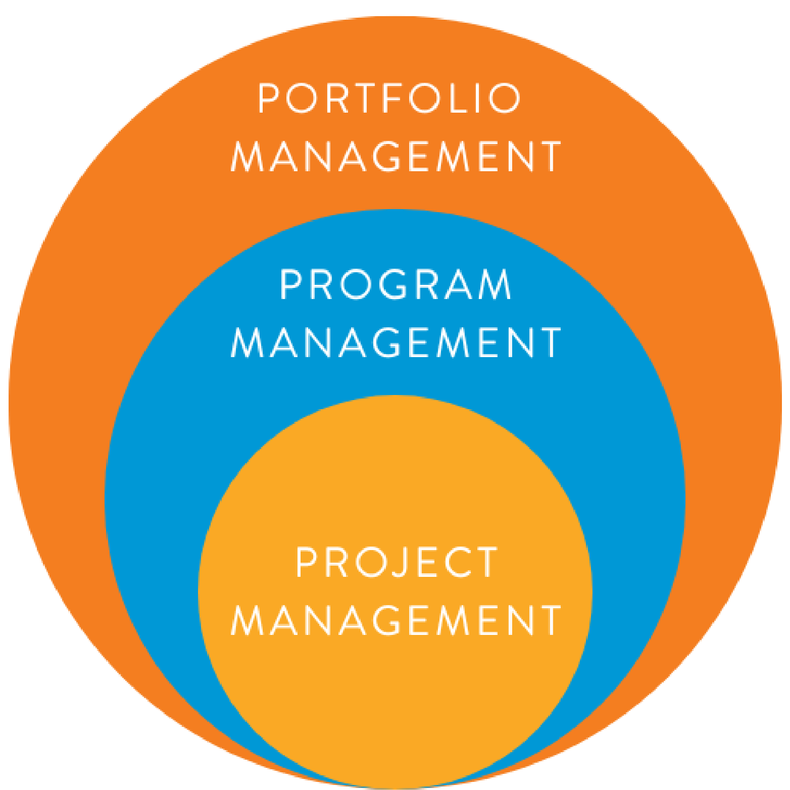 Halloran Consulting Group, Inc.; the relationship between project, program, and portfolio management