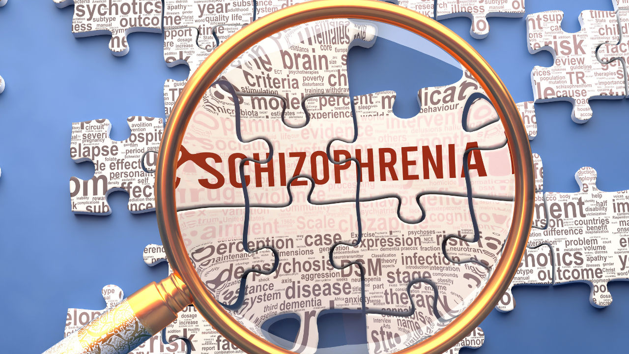Schizophrenia as a complex and multipart topic under close inspection. Complexity shown as matching puzzle pieces defining dozens of vital ideas and concepts about Schizophrenia,3d illustration. Image Credit: Adobe Stock Images/GoodIdeas