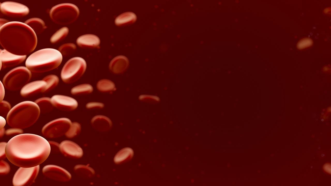 3d medical illustration depicting red blood cells. Horizontal banner image format. Image Credit:Adobe Stock Images/Ivan