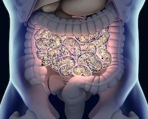 Gut bacteria , gut flora, microbiome. Bacteria inside the small intestine, concept, representation. 3D illustration | ©Anatomy Insider | Adobe Stock