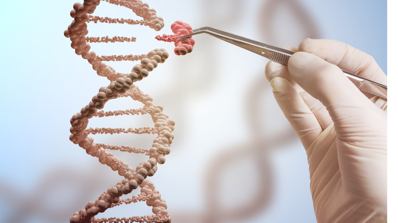 Genetic engineering and gene manipulation concept. Hand is replacing part of a DNA molecule. Image Credit: Adobe Stock Images/vchalup