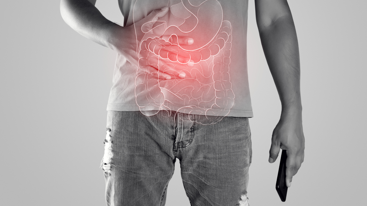 Illustration of internal organs is on the man body against the gray background. Peopel touching stomach painful suffering from enteritis. internal organs of the human body. Image Credit: Adobe Stock Images/eddows