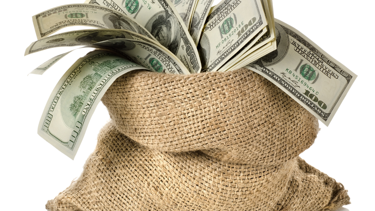 Money in the bag. Image Credit: Adobe Stock Images/Givaga