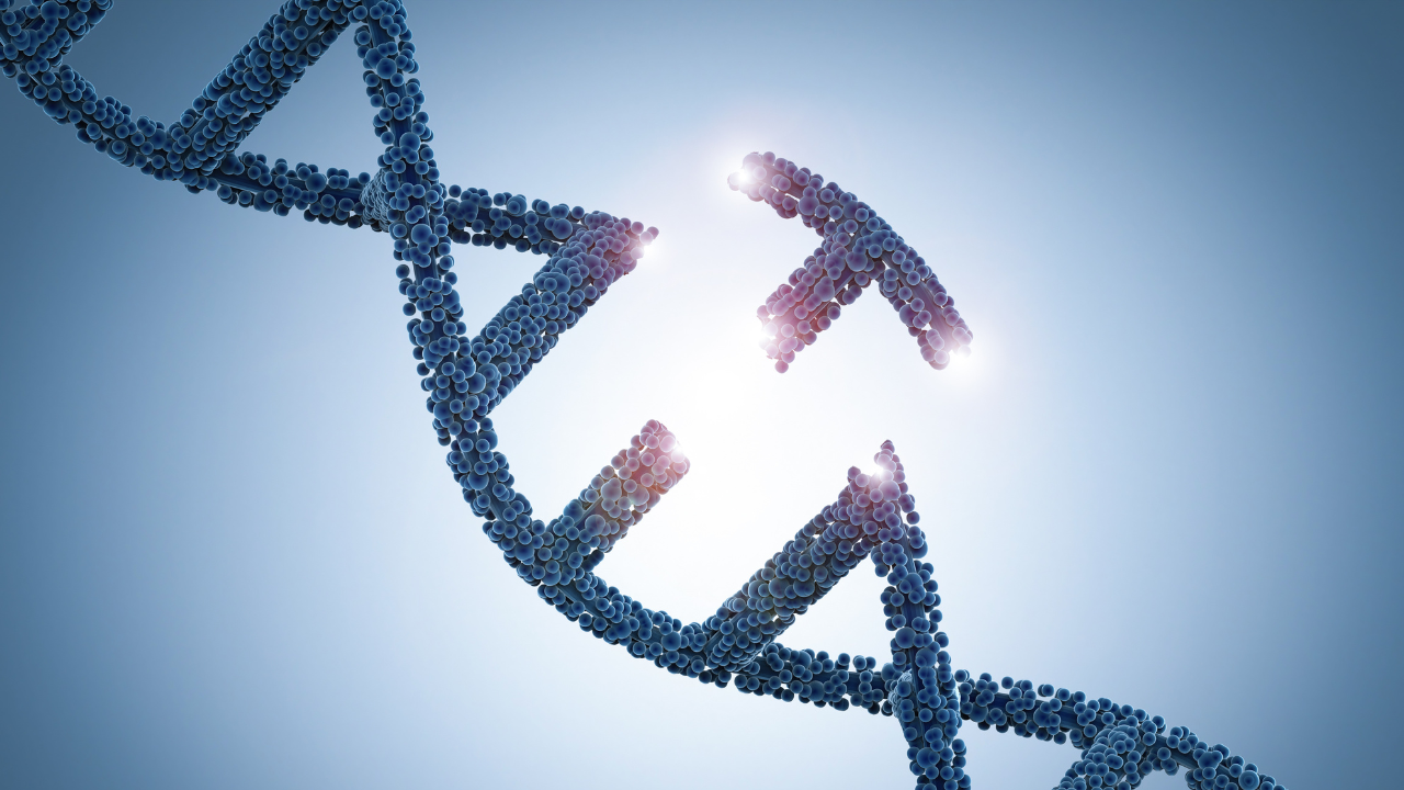 Genetic engineeering concept. Image Credit: Adobe Stock Images/phonlamaiphoto