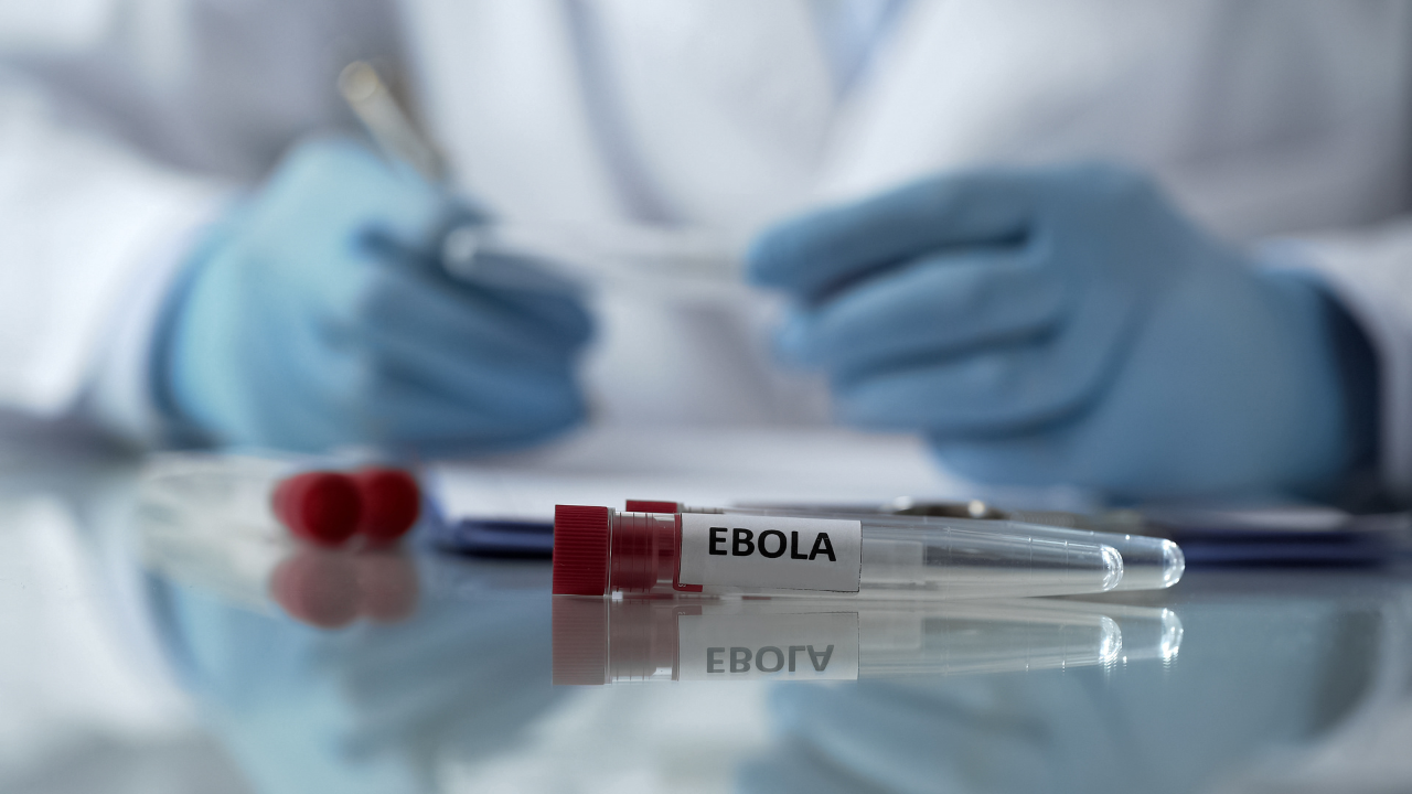 Worker of center for disease control describing effects of ebola virus mutation. Image Credit: Adobe Stock Images/motortion