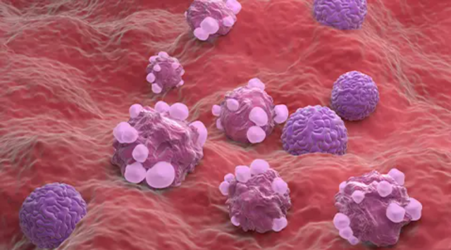 FDA Grants Priority Review to Merck’s Keytruda Combo for Endometrial Carcinoma