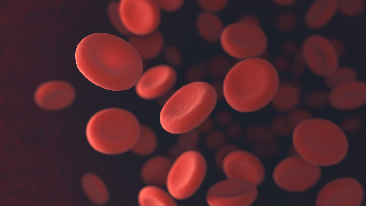 Red Blood Cells. Image Credit: Adobe Stock Images/ktsdesign