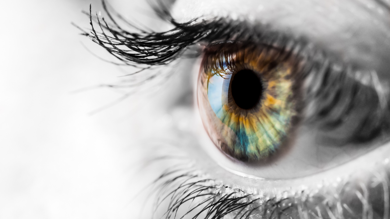 Colorful iris of the human eye with black and wite surrounding. Image Credit: Adobe Stock Images/michnik101