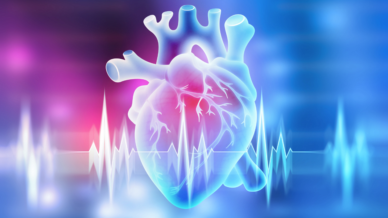 Human heart. 3D illustration on a medical background. Image Credit: Adobe Stock Images/Siarhei